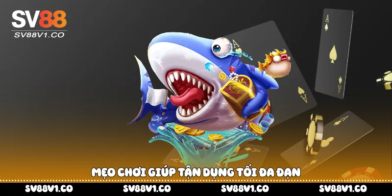 Mẹo chơi giúp tận dụng tối đa đạn